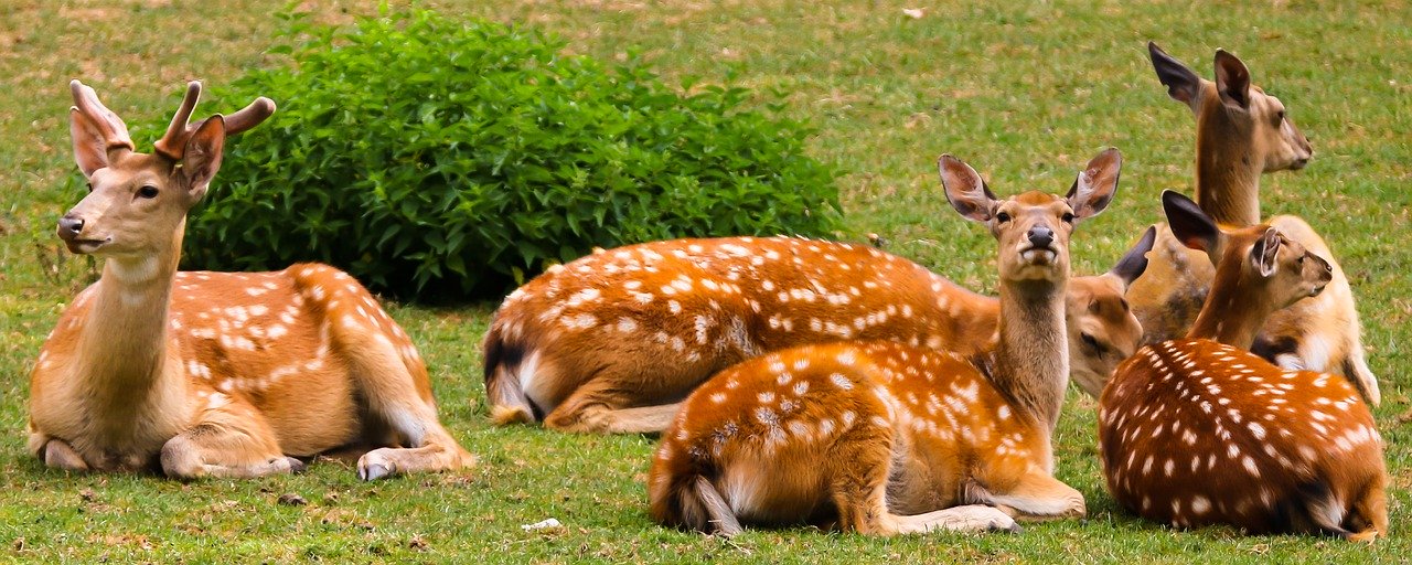 キラキラ女性起業は何がすごいのか？